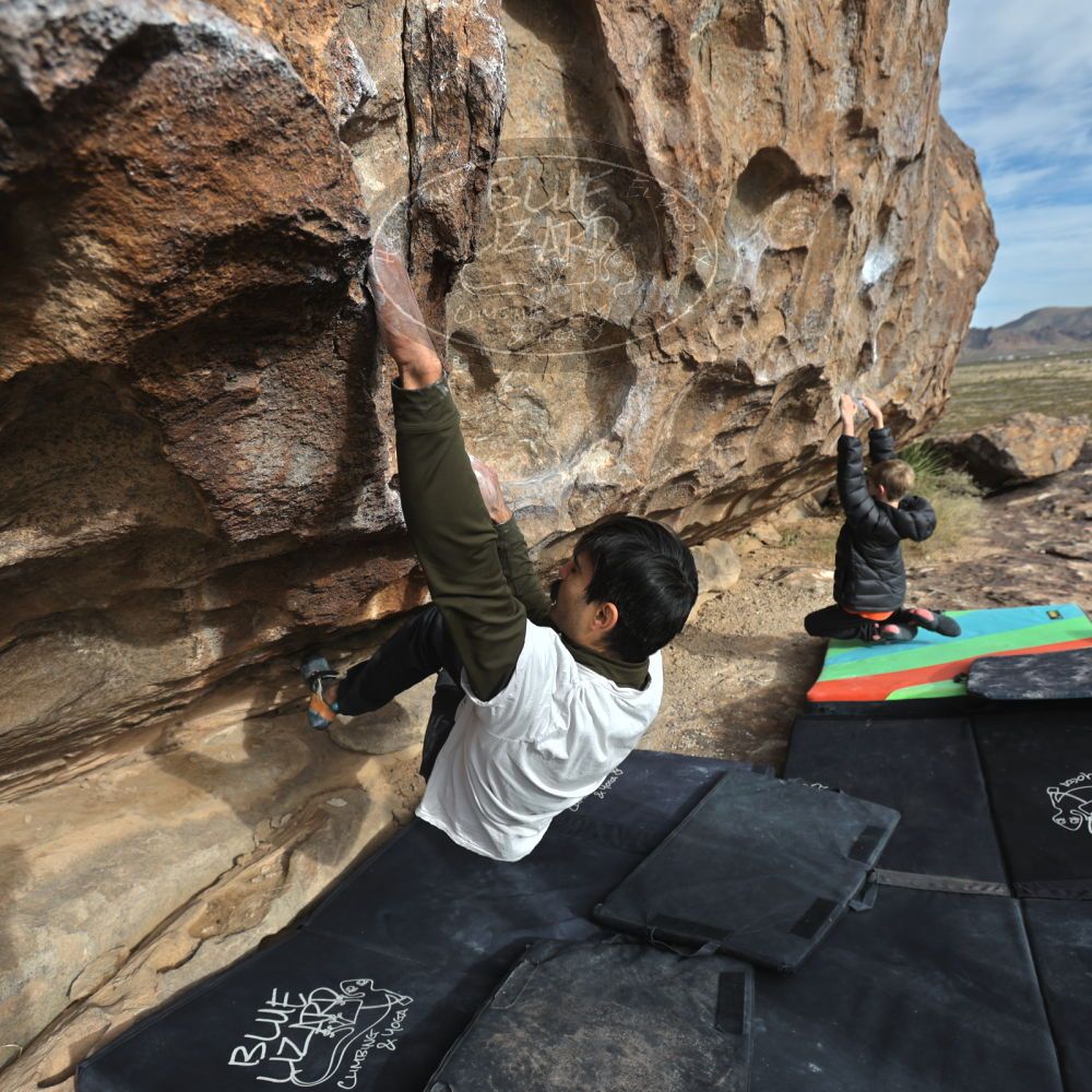 

Filename: SRM_20221113_0859010.jpg
Aperture: f/5.0
Shutter Speed: 1/800
Body: Canon EOS R6
Lens: Canon EF 16-35mm f/2.8 L