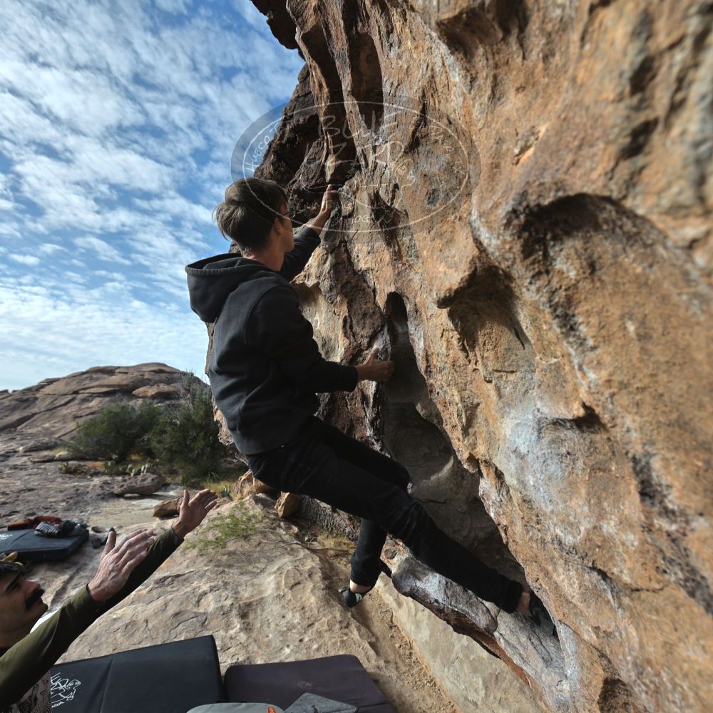 

Filename: SRM_20221113_0902340.jpg
Aperture: f/5.6
Shutter Speed: 1/800
Body: Canon EOS R6
Lens: Canon EF 16-35mm f/2.8 L