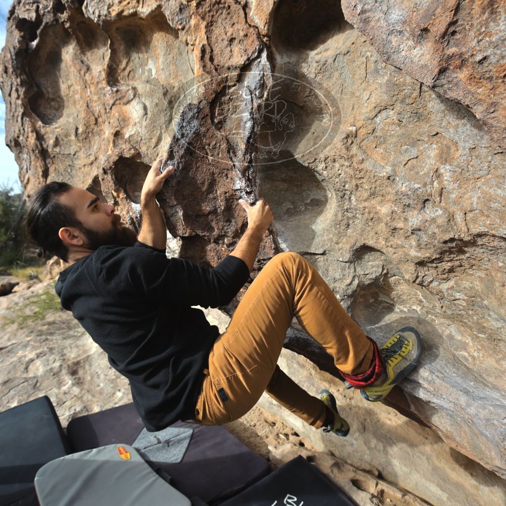 

Filename: SRM_20221113_0903200.jpg
Aperture: f/5.6
Shutter Speed: 1/800
Body: Canon EOS R6
Lens: Canon EF 16-35mm f/2.8 L