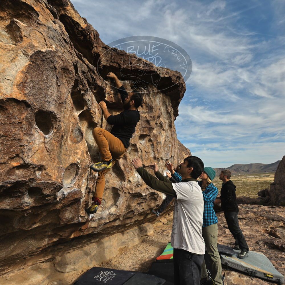 

Filename: SRM_20221113_0903280.jpg
Aperture: f/5.6
Shutter Speed: 1/800
Body: Canon EOS R6
Lens: Canon EF 16-35mm f/2.8 L