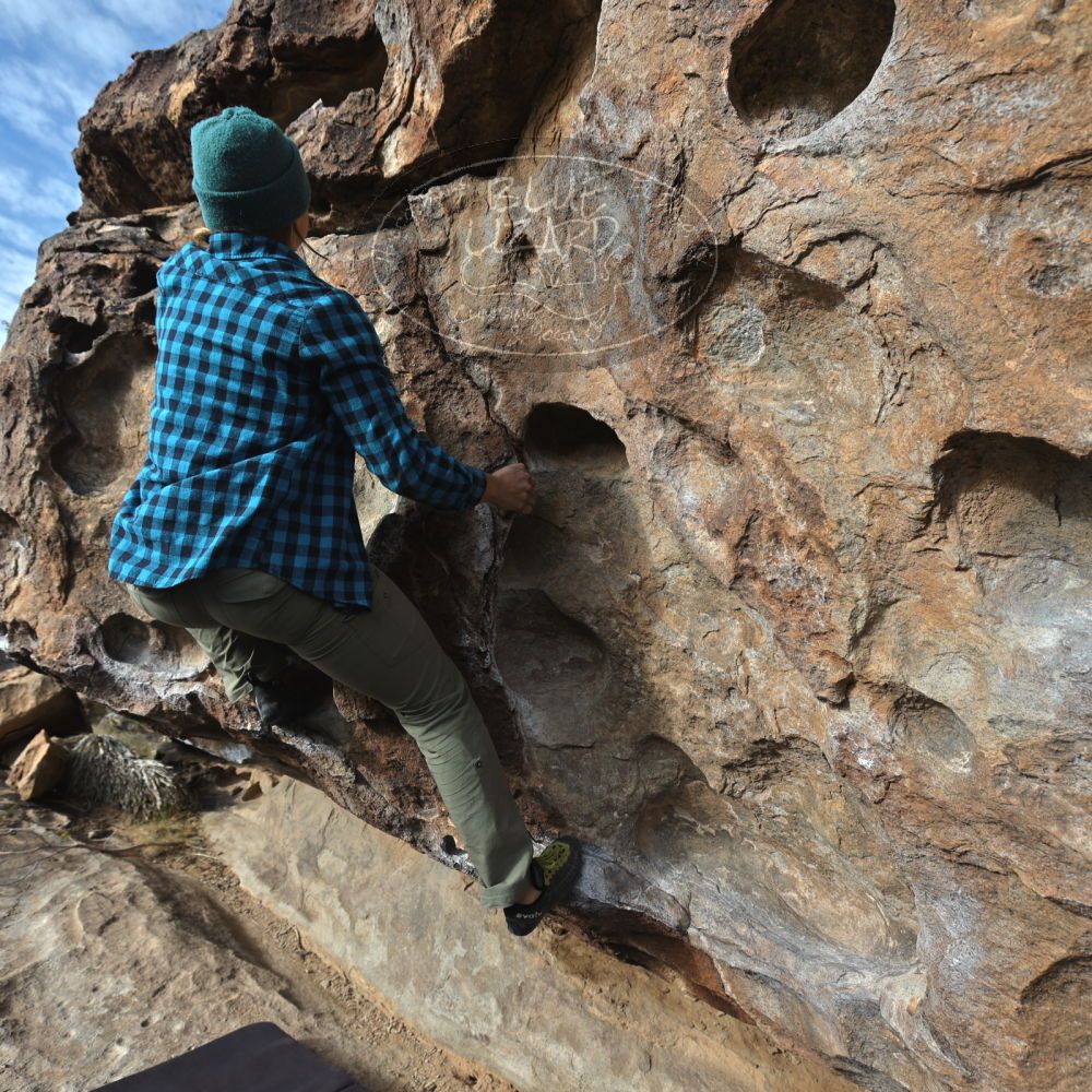 

Filename: SRM_20221113_0904450.jpg
Aperture: f/5.6
Shutter Speed: 1/800
Body: Canon EOS R6
Lens: Canon EF 16-35mm f/2.8 L