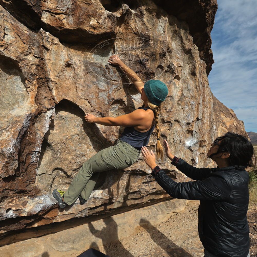 

Filename: SRM_20221113_0917280.jpg
Aperture: f/5.6
Shutter Speed: 1/1600
Body: Canon EOS R6
Lens: Canon EF 16-35mm f/2.8 L