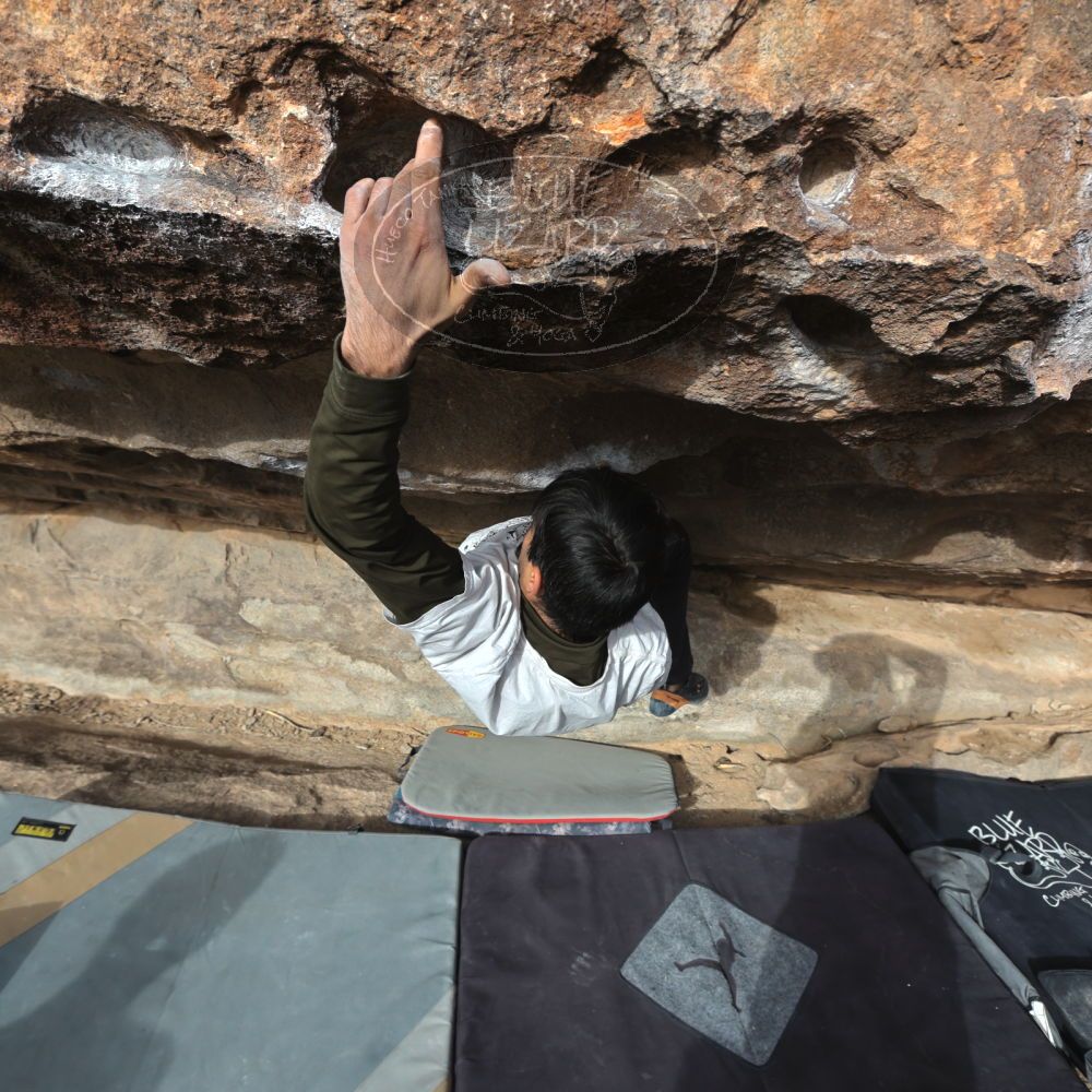 Filename: SRM_20221113_0918462.jpg
Aperture: f/5.6
Shutter Speed: 1/1600
Body: Canon EOS R6
Lens: Canon EF 16-35mm f/2.8 L