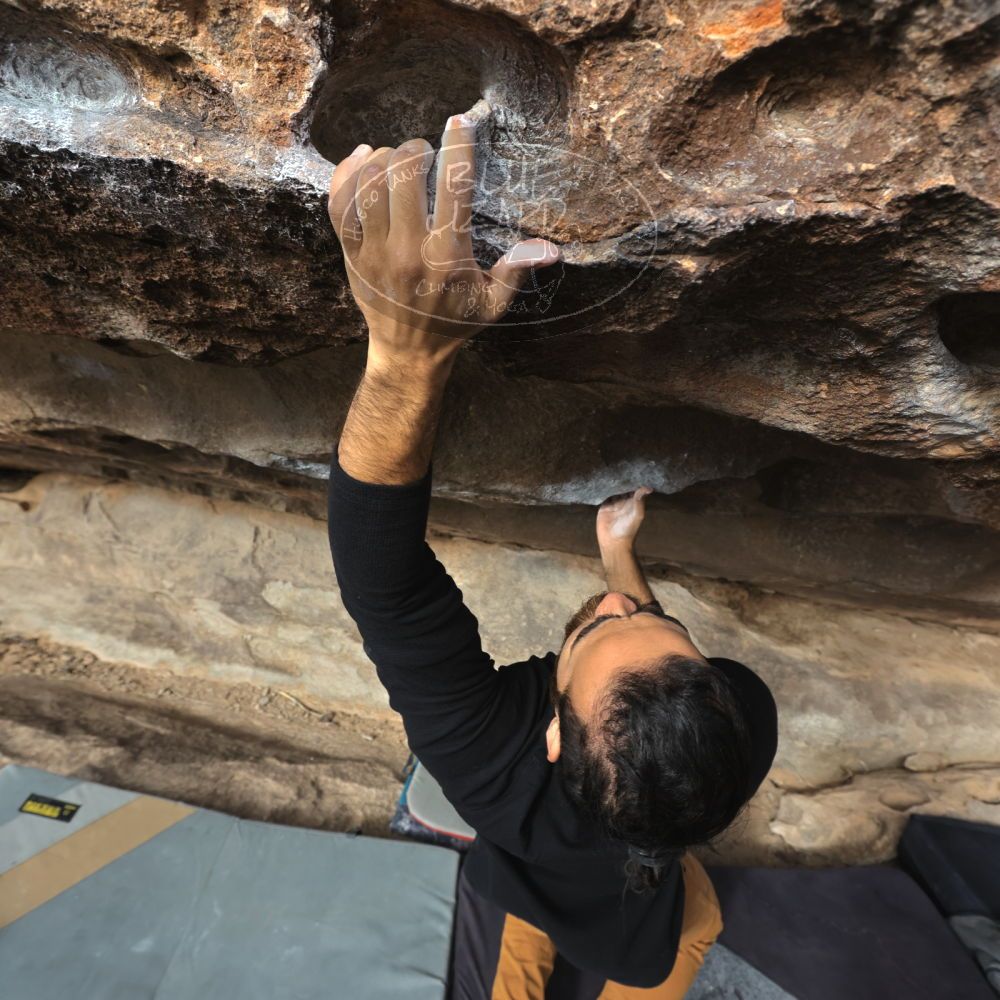 Filename: SRM_20221113_0921040.jpg
Aperture: f/5.6
Shutter Speed: 1/1600
Body: Canon EOS R6
Lens: Canon EF 16-35mm f/2.8 L