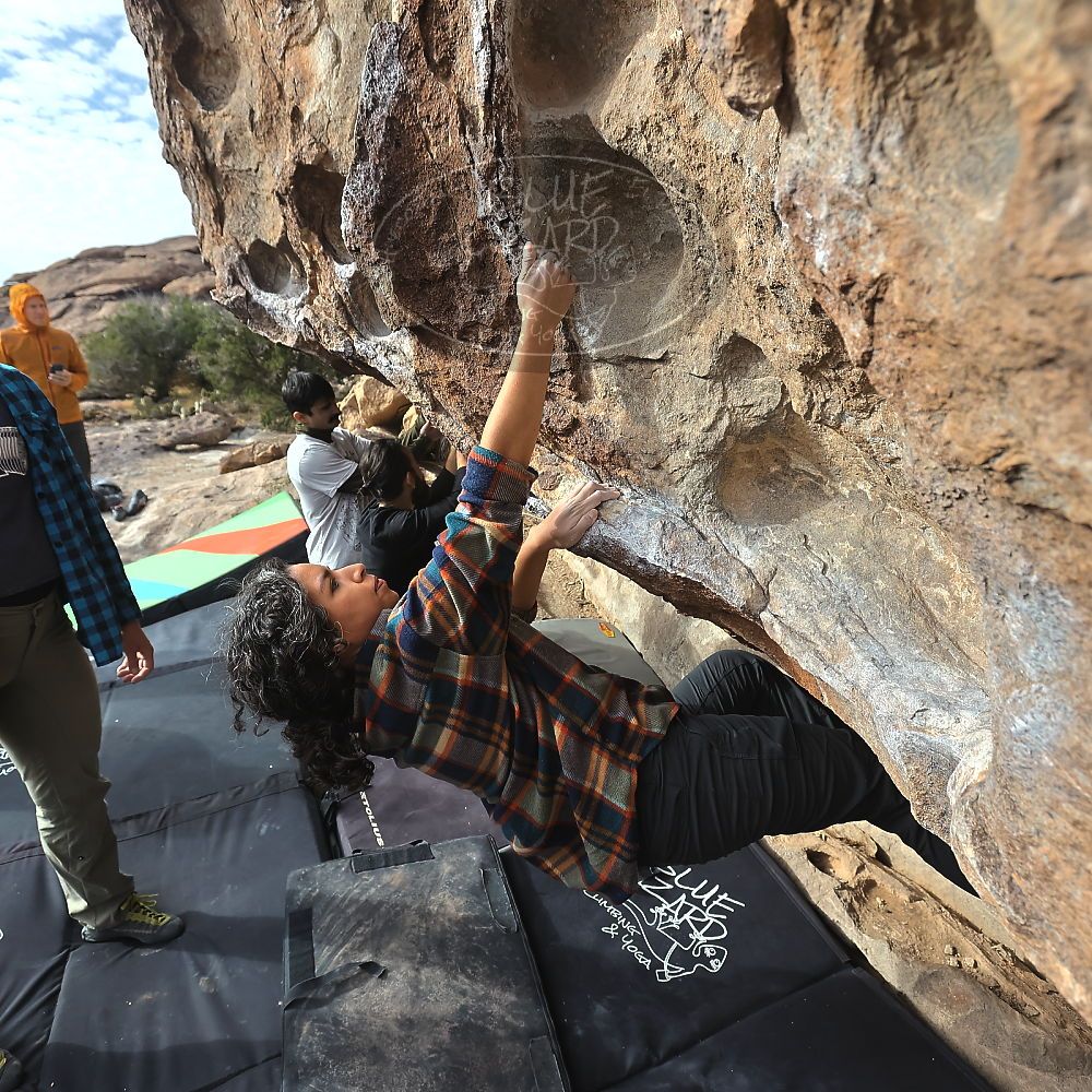 Filename: SRM_20221113_0921190.jpg
Aperture: f/5.6
Shutter Speed: 1/1600
Body: Canon EOS R6
Lens: Canon EF 16-35mm f/2.8 L