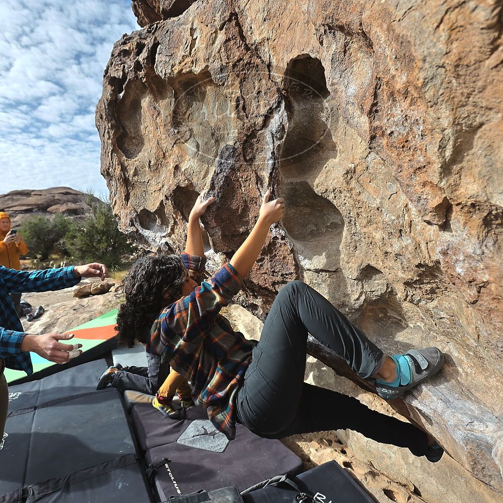 

Filename: SRM_20221113_0921230.jpg
Aperture: f/5.6
Shutter Speed: 1/1600
Body: Canon EOS R6
Lens: Canon EF 16-35mm f/2.8 L