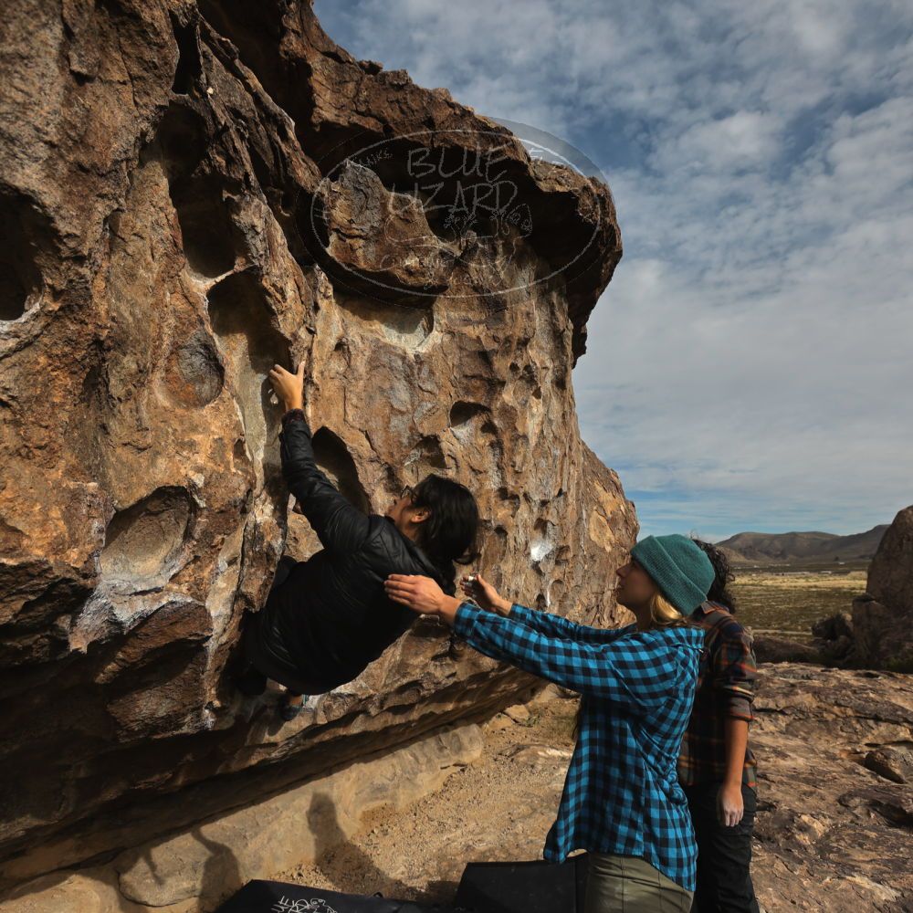 Filename: SRM_20221113_0932250.jpg
Aperture: f/5.6
Shutter Speed: 1/1600
Body: Canon EOS R6
Lens: Canon EF 16-35mm f/2.8 L