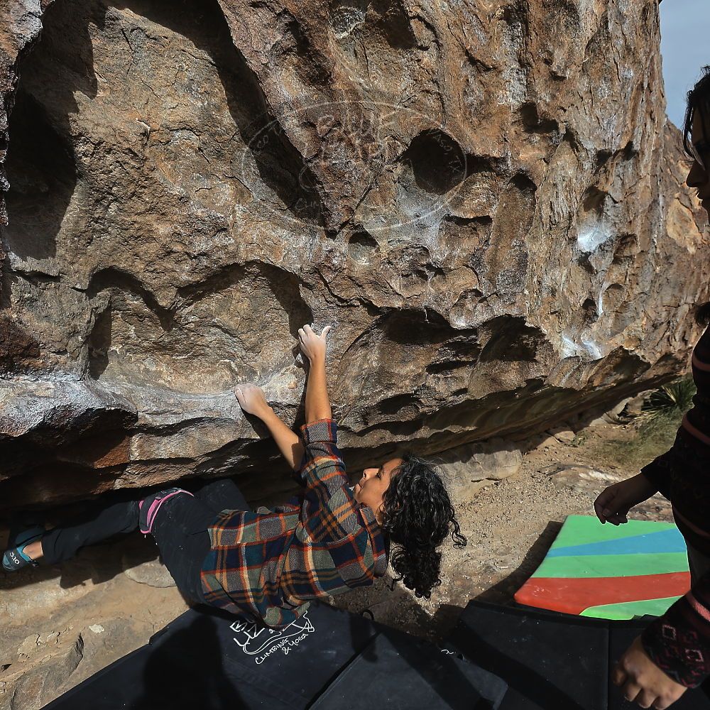 Filename: SRM_20221113_0952310.jpg
Aperture: f/5.6
Shutter Speed: 1/1600
Body: Canon EOS R6
Lens: Canon EF 16-35mm f/2.8 L