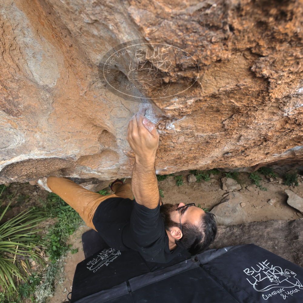 

Filename: SRM_20221113_1054040.jpg
Aperture: f/5.6
Shutter Speed: 1/400
Body: Canon EOS R6
Lens: Canon EF 16-35mm f/2.8 L