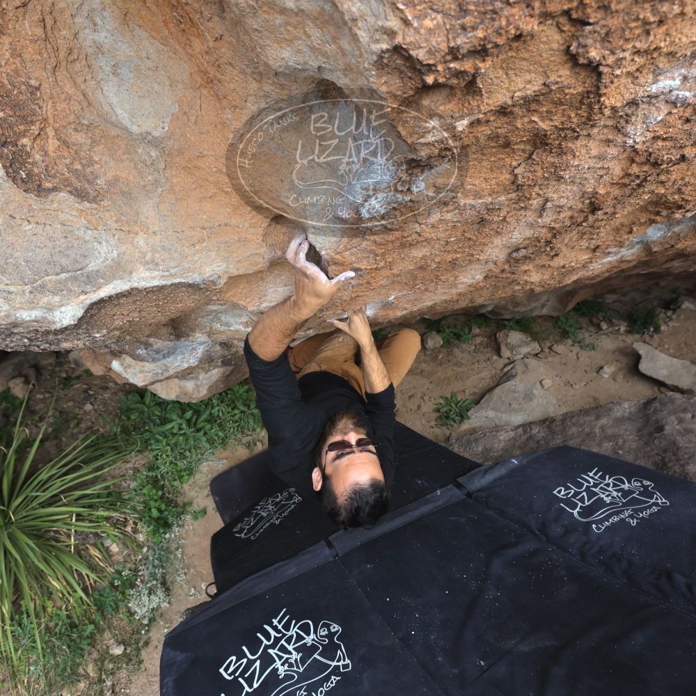 

Filename: SRM_20221113_1100230.jpg
Aperture: f/5.6
Shutter Speed: 1/400
Body: Canon EOS R6
Lens: Canon EF 16-35mm f/2.8 L