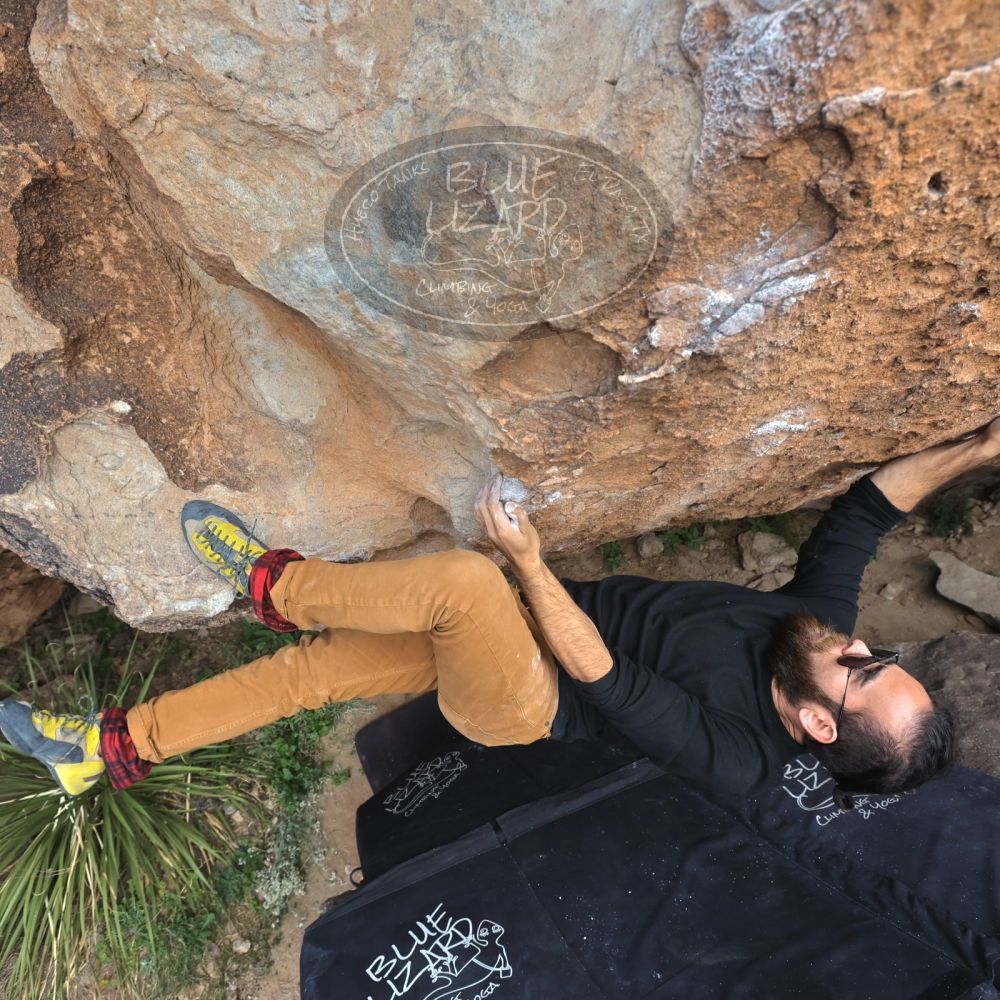 

Filename: SRM_20221113_1100380.jpg
Aperture: f/5.6
Shutter Speed: 1/400
Body: Canon EOS R6
Lens: Canon EF 16-35mm f/2.8 L