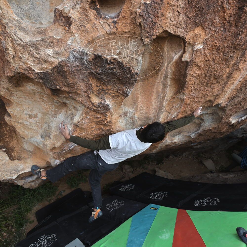 

Filename: SRM_20221113_1111500.jpg
Aperture: f/5.6
Shutter Speed: 1/400
Body: Canon EOS R6
Lens: Canon EF 16-35mm f/2.8 L