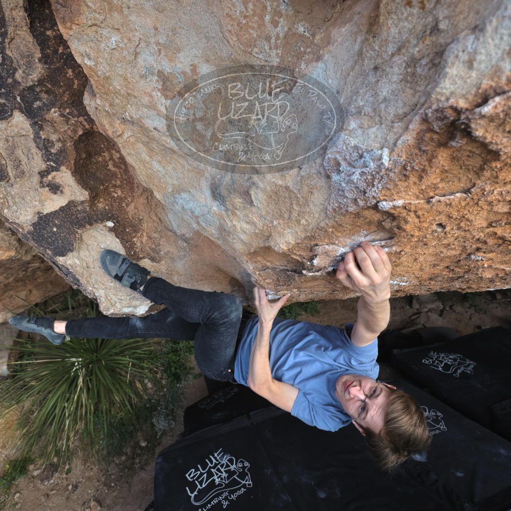 

Filename: SRM_20221113_1124001.jpg
Aperture: f/5.6
Shutter Speed: 1/400
Body: Canon EOS R6
Lens: Canon EF 16-35mm f/2.8 L