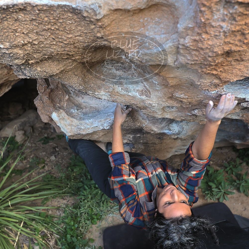 Filename: SRM_20221113_1126411.jpg
Aperture: f/5.6
Shutter Speed: 1/400
Body: Canon EOS R6
Lens: Canon EF 16-35mm f/2.8 L