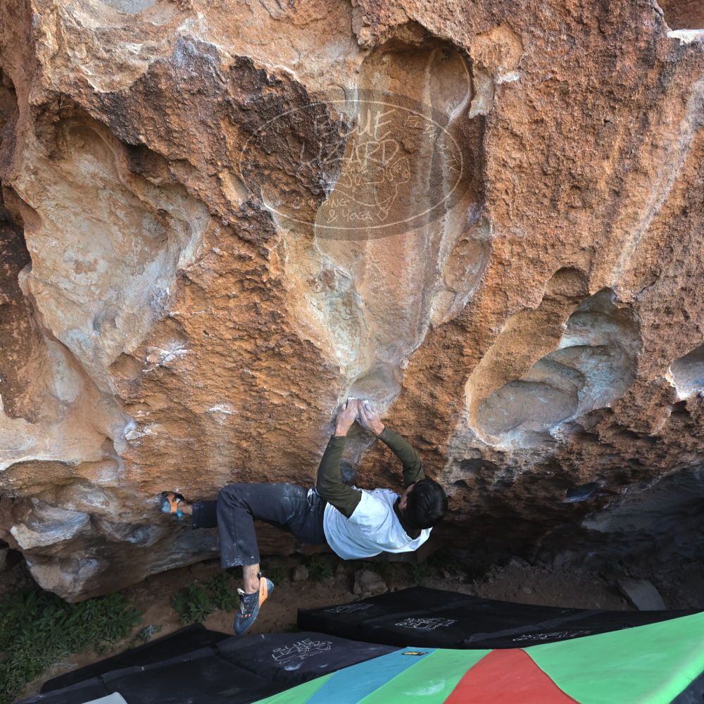 

Filename: SRM_20221113_1128110.jpg
Aperture: f/5.6
Shutter Speed: 1/400
Body: Canon EOS R6
Lens: Canon EF 16-35mm f/2.8 L