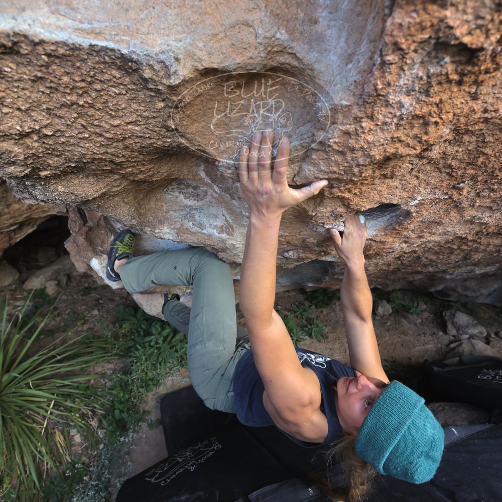 

Filename: SRM_20221113_1128550.jpg
Aperture: f/5.6
Shutter Speed: 1/400
Body: Canon EOS R6
Lens: Canon EF 16-35mm f/2.8 L