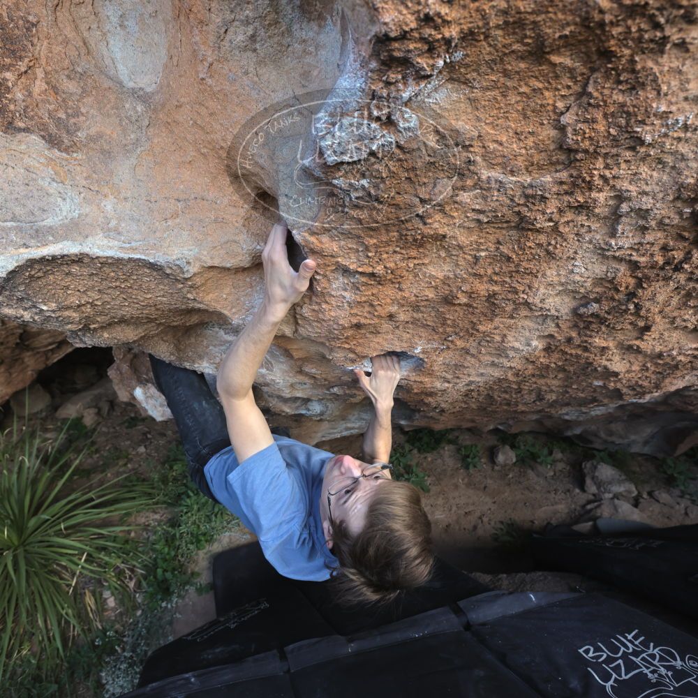 

Filename: SRM_20221113_1130460.jpg
Aperture: f/5.6
Shutter Speed: 1/400
Body: Canon EOS R6
Lens: Canon EF 16-35mm f/2.8 L