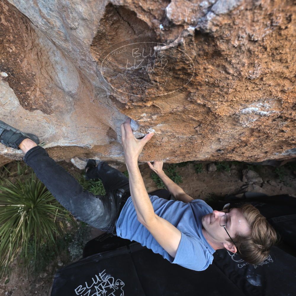 

Filename: SRM_20221113_1130490.jpg
Aperture: f/5.6
Shutter Speed: 1/400
Body: Canon EOS R6
Lens: Canon EF 16-35mm f/2.8 L