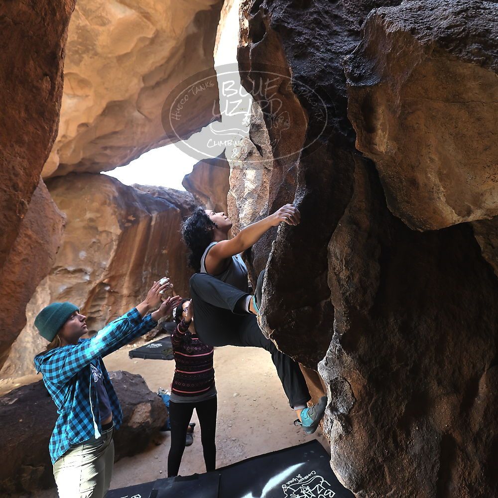 

Filename: SRM_20221113_1222390.jpg
Aperture: f/4.0
Shutter Speed: 1/320
Body: Canon EOS R6
Lens: Canon EF 16-35mm f/2.8 L