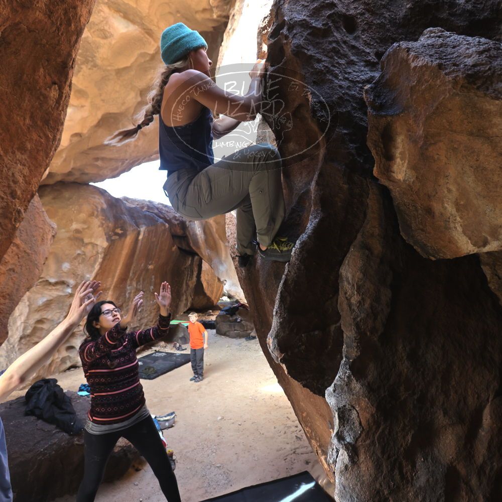 Filename: SRM_20221113_1224050.jpg
Aperture: f/4.0
Shutter Speed: 1/320
Body: Canon EOS R6
Lens: Canon EF 16-35mm f/2.8 L