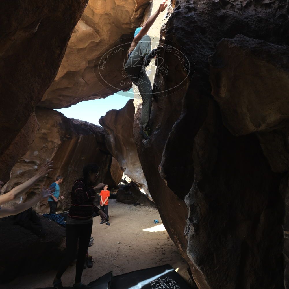 

Filename: SRM_20221113_1224110.jpg
Aperture: f/4.0
Shutter Speed: 1/320
Body: Canon EOS R6
Lens: Canon EF 16-35mm f/2.8 L