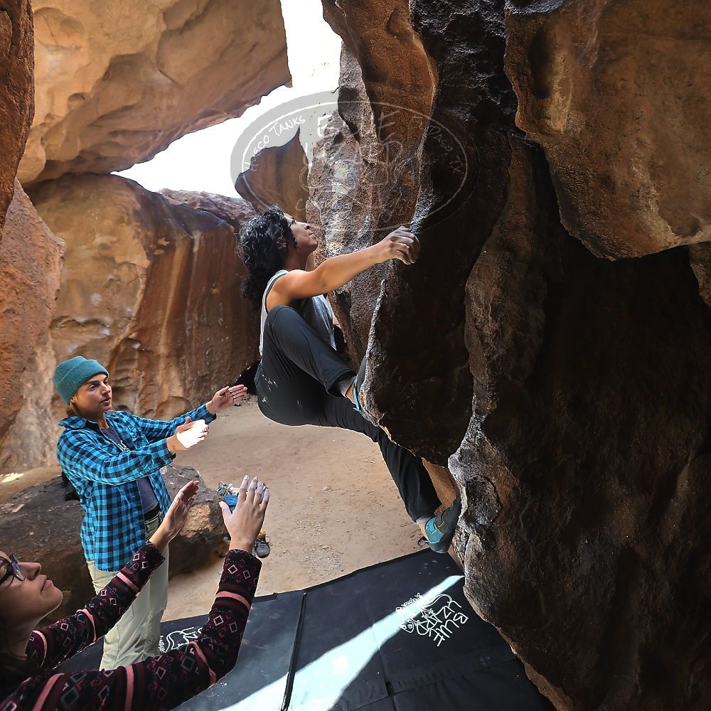 

Filename: SRM_20221113_1233490.jpg
Aperture: f/4.0
Shutter Speed: 1/320
Body: Canon EOS R6
Lens: Canon EF 16-35mm f/2.8 L