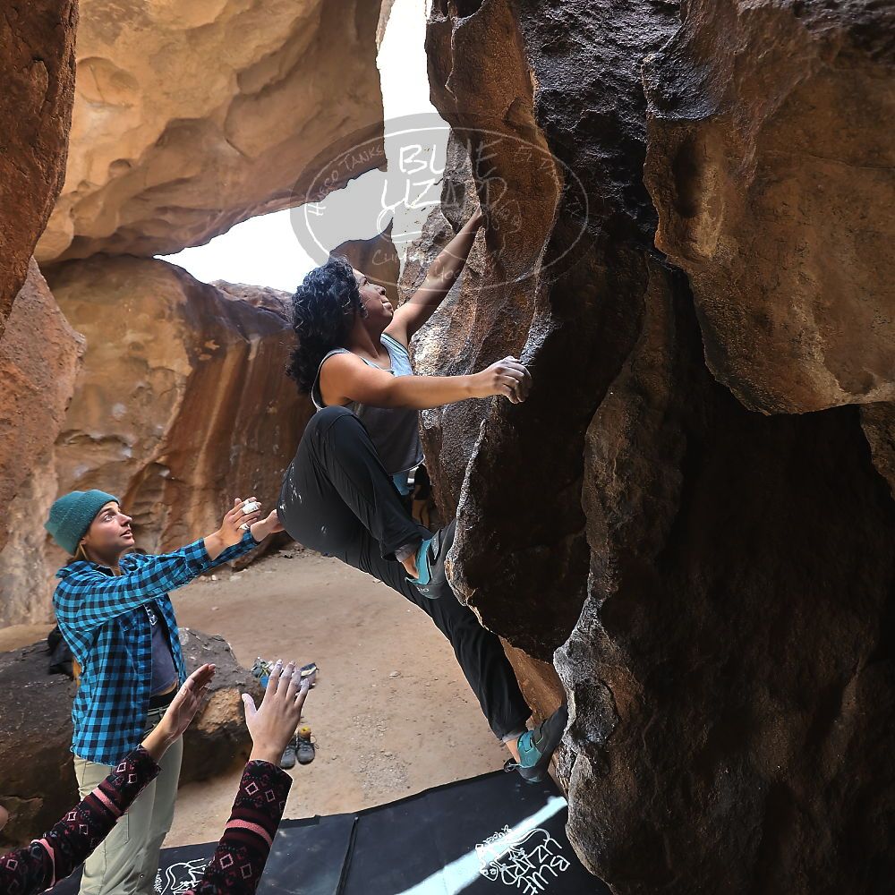 

Filename: SRM_20221113_1233500.jpg
Aperture: f/4.0
Shutter Speed: 1/320
Body: Canon EOS R6
Lens: Canon EF 16-35mm f/2.8 L