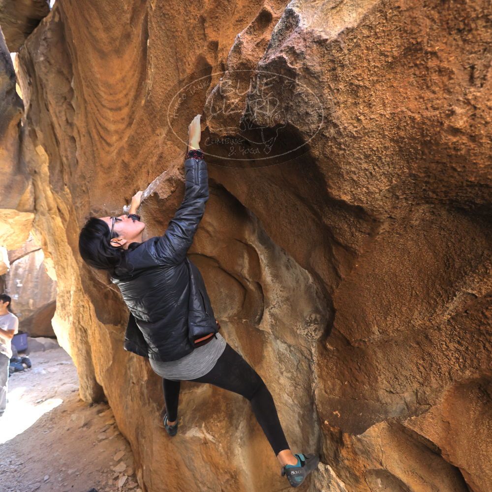 

Filename: SRM_20221113_1302490.jpg
Aperture: f/4.0
Shutter Speed: 1/320
Body: Canon EOS R6
Lens: Canon EF 16-35mm f/2.8 L