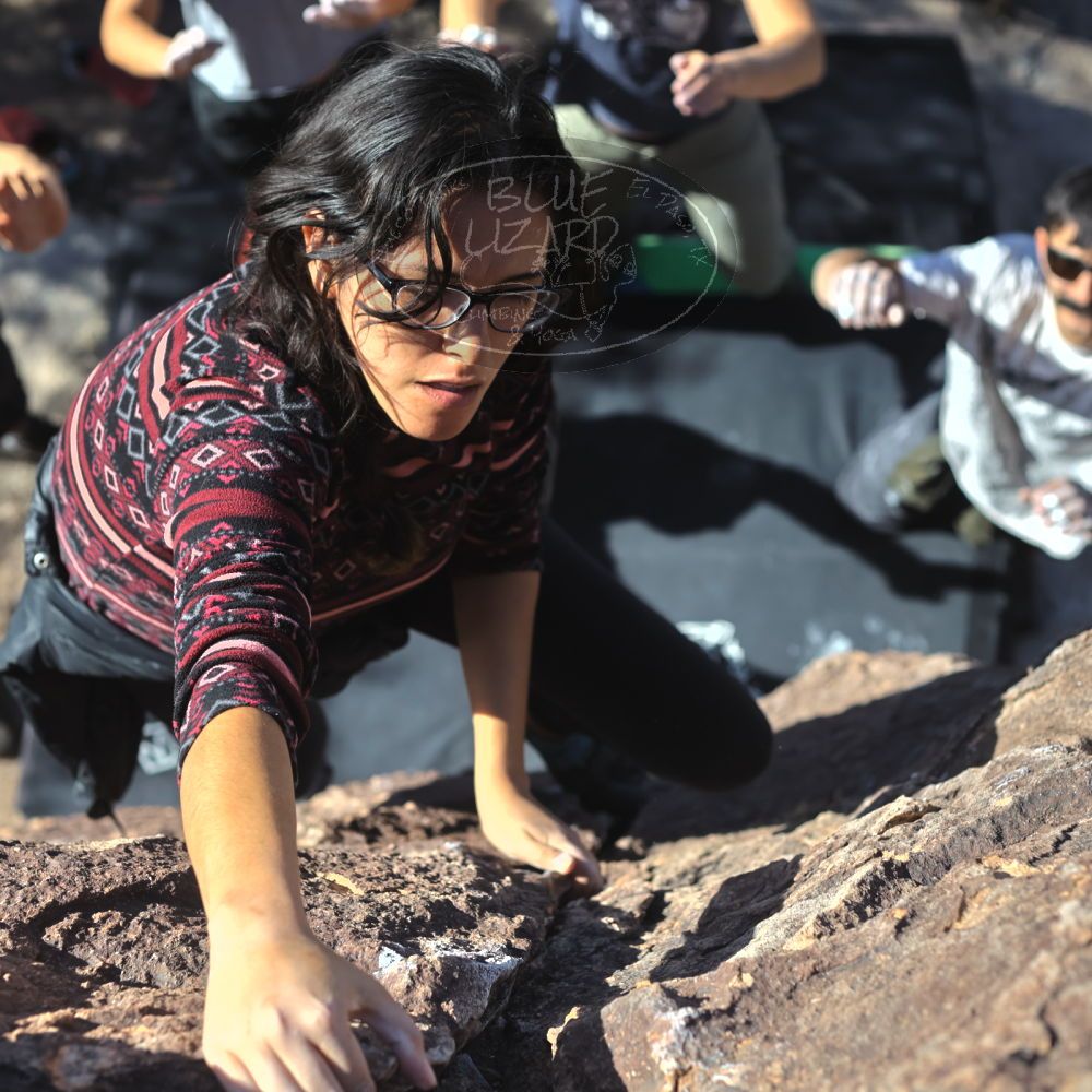 

Filename: SRM_20221113_1331340.jpg
Aperture: f/4.0
Shutter Speed: 1/4000
Body: Canon EOS R6
Lens: Canon EF 50mm f/1.8 II