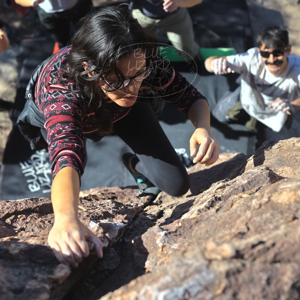 Filename: SRM_20221113_1331350.jpg
Aperture: f/4.0
Shutter Speed: 1/4000
Body: Canon EOS R6
Lens: Canon EF 50mm f/1.8 II