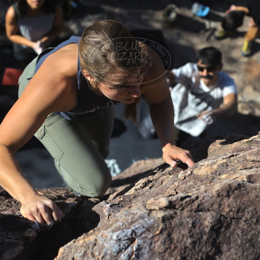 Filename: SRM_20221113_1332170.jpg
Aperture: f/4.0
Shutter Speed: 1/4000
Body: Canon EOS R6
Lens: Canon EF 50mm f/1.8 II