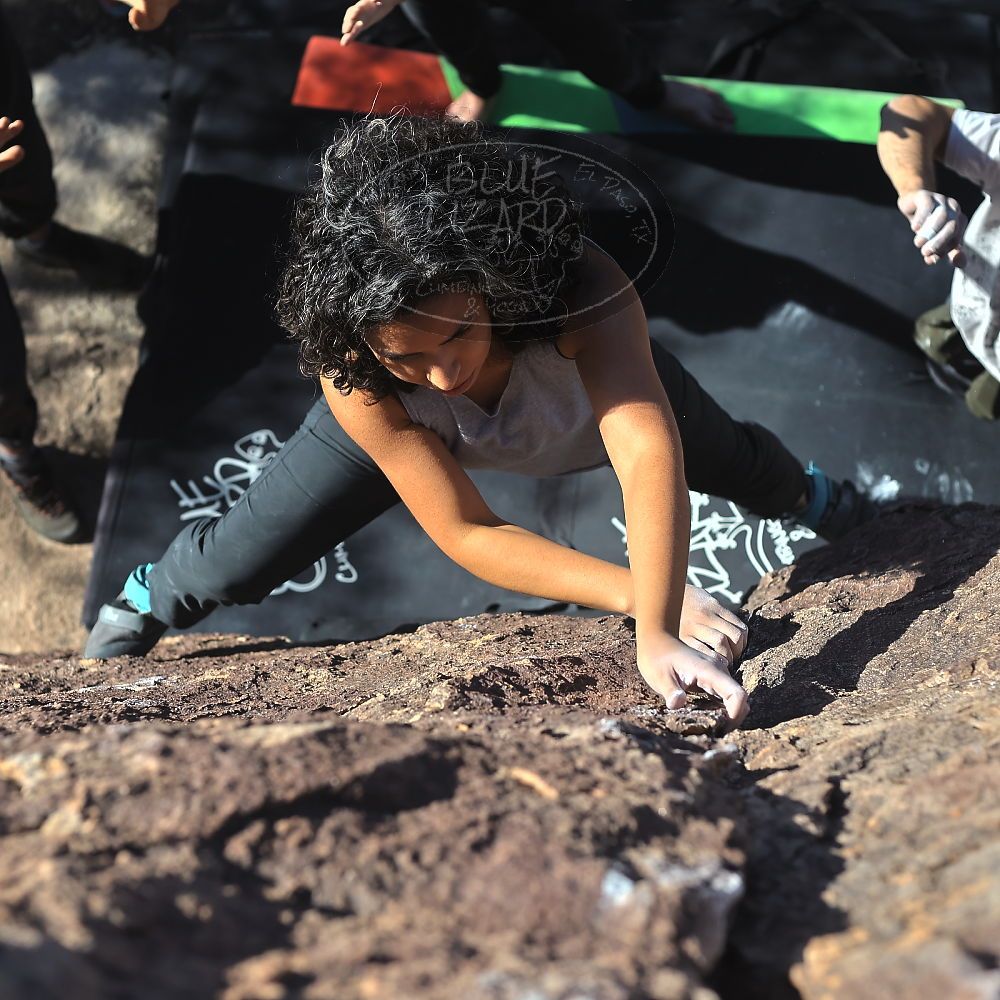 

Filename: SRM_20221113_1332450.jpg
Aperture: f/4.0
Shutter Speed: 1/4000
Body: Canon EOS R6
Lens: Canon EF 50mm f/1.8 II