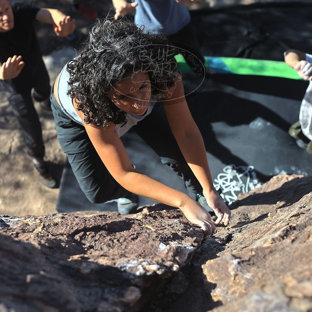 Filename: SRM_20221113_1332561.jpg
Aperture: f/4.0
Shutter Speed: 1/4000
Body: Canon EOS R6
Lens: Canon EF 50mm f/1.8 II