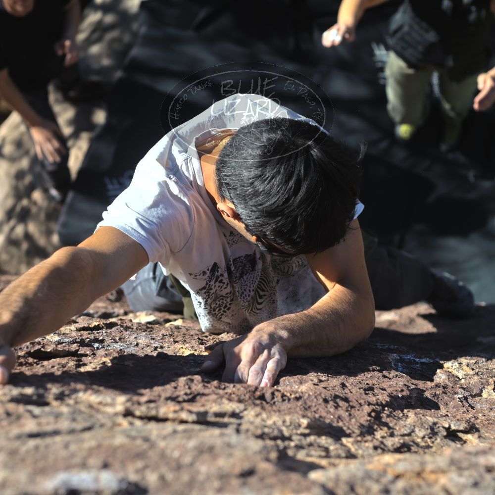 

Filename: SRM_20221113_1337520.jpg
Aperture: f/4.0
Shutter Speed: 1/4000
Body: Canon EOS R6
Lens: Canon EF 50mm f/1.8 II