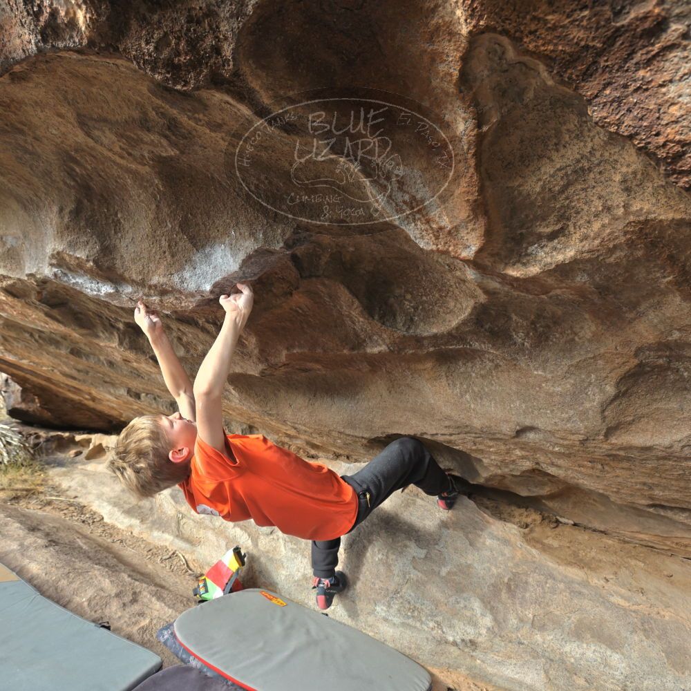 

Filename: SRM_20221113_0928160.jpg
Aperture: f/5.6
Shutter Speed: 1/1600
Body: Canon EOS R6
Lens: Canon EF 16-35mm f/2.8 L