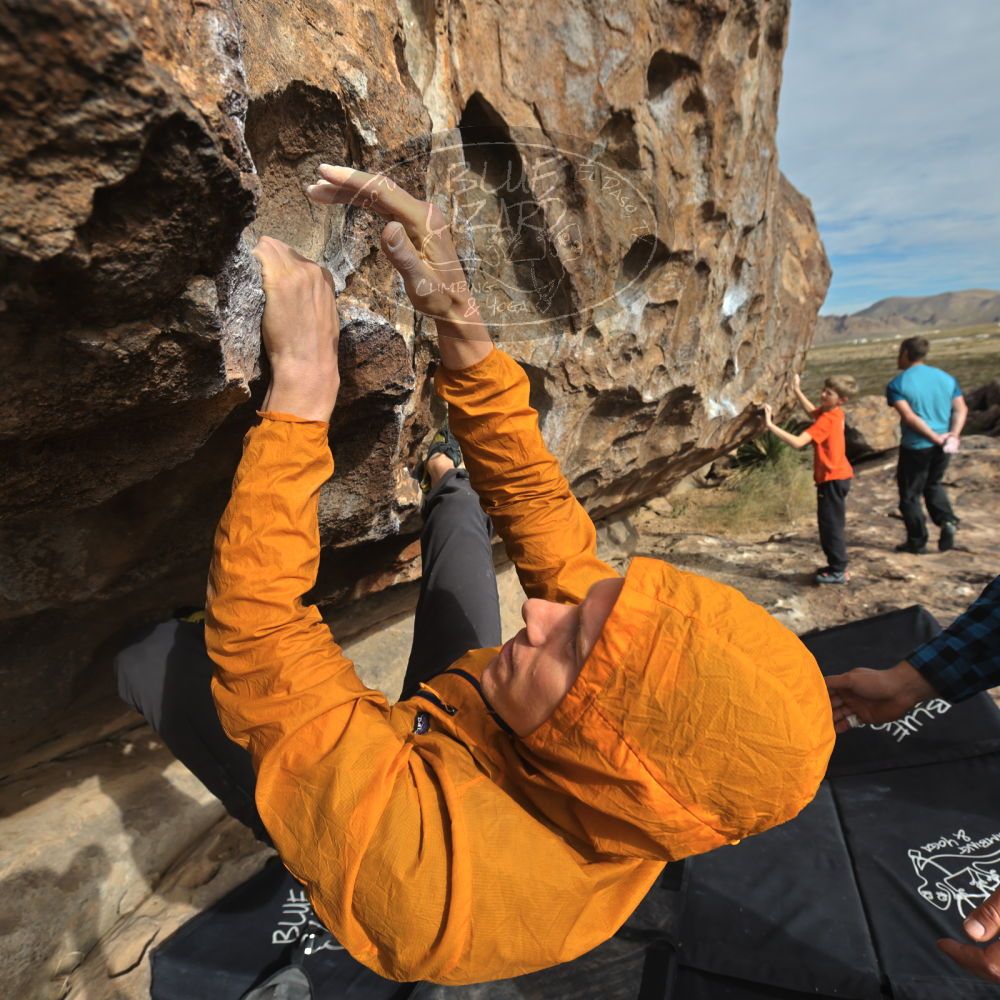 

Filename: SRM_20221113_0935190.jpg
Aperture: f/5.6
Shutter Speed: 1/1600
Body: Canon EOS R6
Lens: Canon EF 16-35mm f/2.8 L