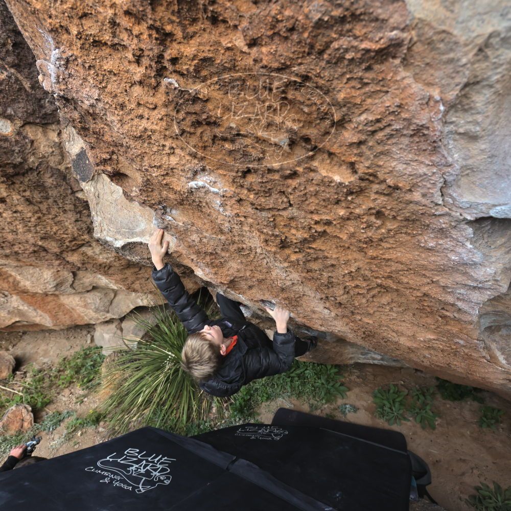 

Filename: SRM_20221113_1033400.jpg
Aperture: f/5.6
Shutter Speed: 1/800
Body: Canon EOS R6
Lens: Canon EF 16-35mm f/2.8 L