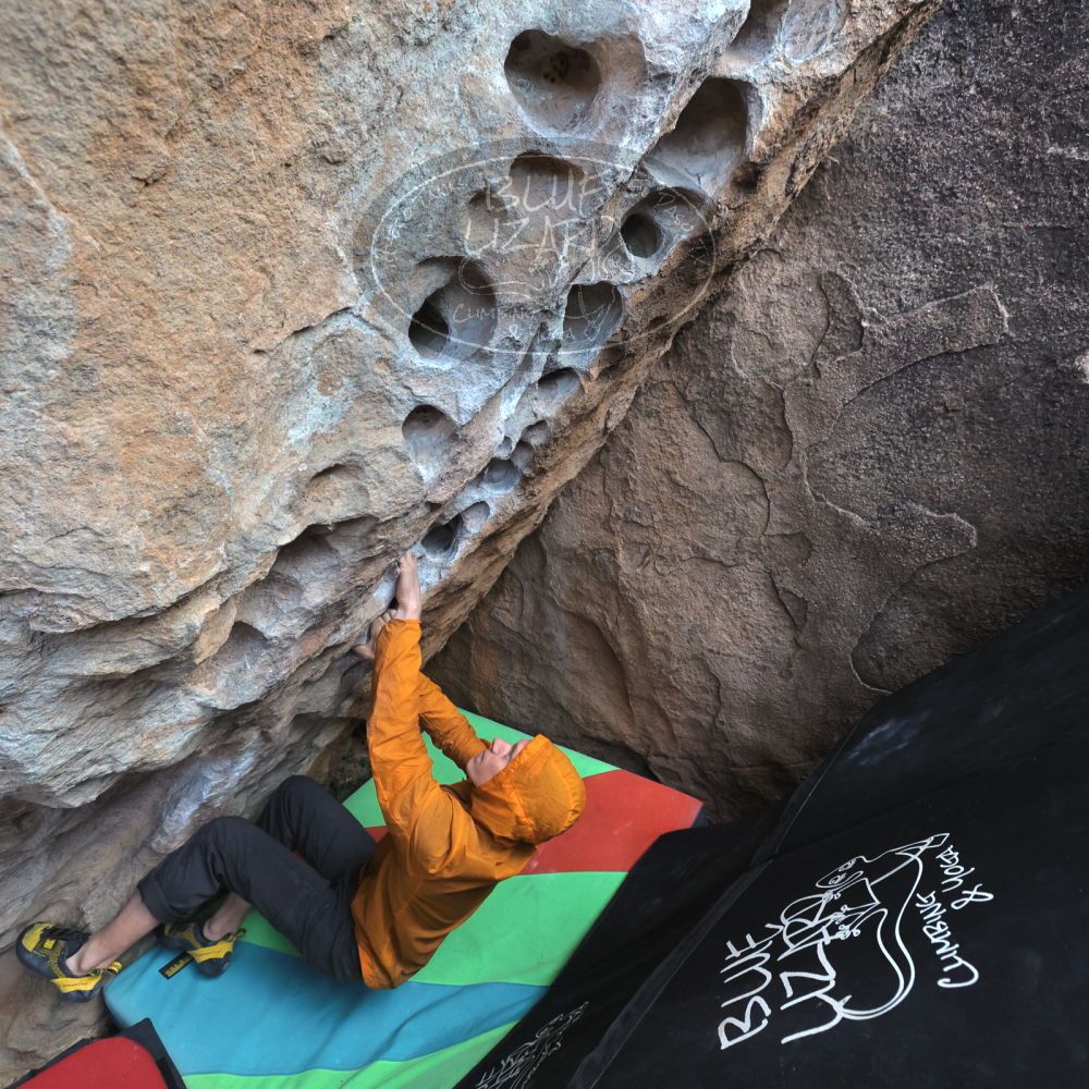 

Filename: SRM_20221113_1041490.jpg
Aperture: f/5.6
Shutter Speed: 1/800
Body: Canon EOS R6
Lens: Canon EF 16-35mm f/2.8 L