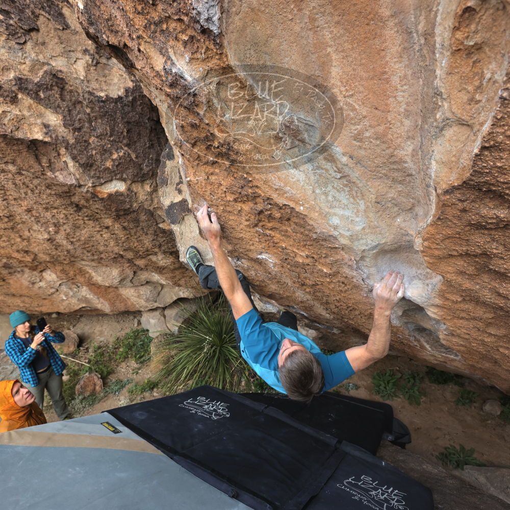 

Filename: SRM_20221113_1050020.jpg
Aperture: f/5.6
Shutter Speed: 1/400
Body: Canon EOS R6
Lens: Canon EF 16-35mm f/2.8 L