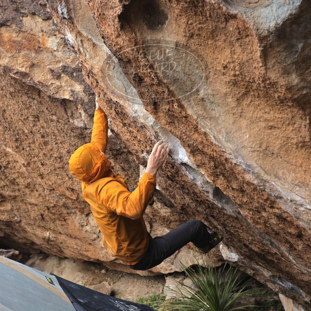 

Filename: SRM_20221113_1102290.jpg
Aperture: f/5.6
Shutter Speed: 1/400
Body: Canon EOS R6
Lens: Canon EF 16-35mm f/2.8 L