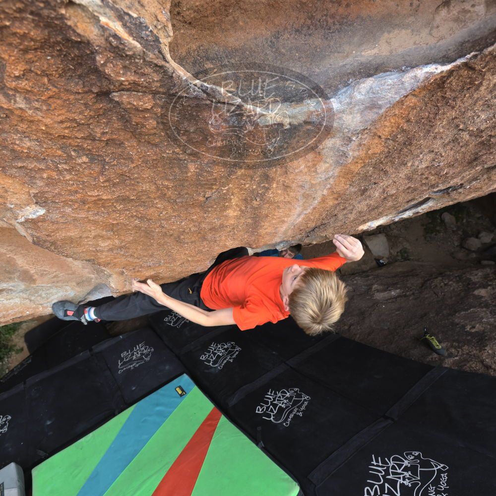 

Filename: SRM_20221113_1110080.jpg
Aperture: f/5.6
Shutter Speed: 1/400
Body: Canon EOS R6
Lens: Canon EF 16-35mm f/2.8 L