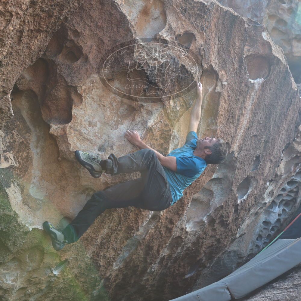 

Filename: SRM_20221113_1140280.jpg
Aperture: f/5.6
Shutter Speed: 1/320
Body: Canon EOS R6
Lens: Canon EF 16-35mm f/2.8 L