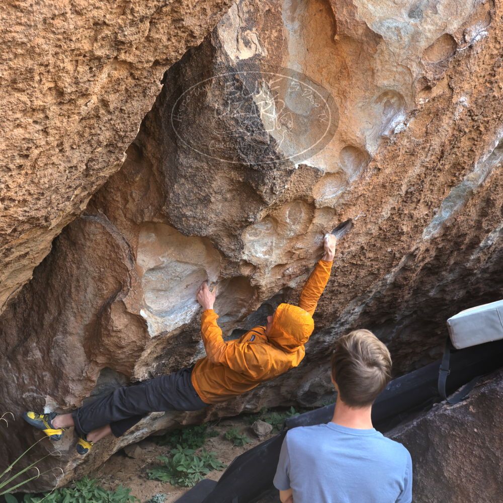 

Filename: SRM_20221113_1141020.jpg
Aperture: f/5.6
Shutter Speed: 1/320
Body: Canon EOS R6
Lens: Canon EF 16-35mm f/2.8 L