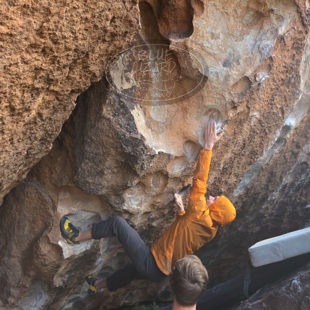 

Filename: SRM_20221113_1141040.jpg
Aperture: f/5.6
Shutter Speed: 1/320
Body: Canon EOS R6
Lens: Canon EF 16-35mm f/2.8 L