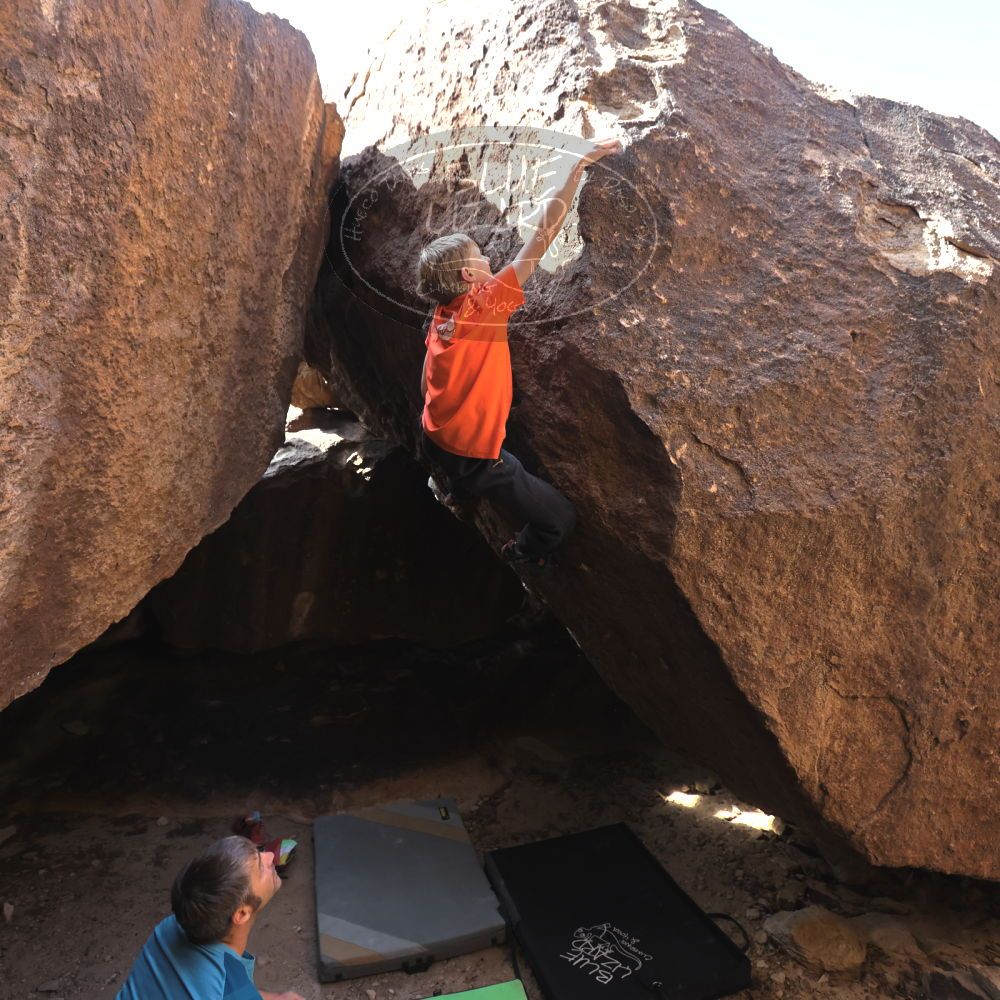 

Filename: SRM_20221113_1226120.jpg
Aperture: f/4.0
Shutter Speed: 1/320
Body: Canon EOS R6
Lens: Canon EF 16-35mm f/2.8 L