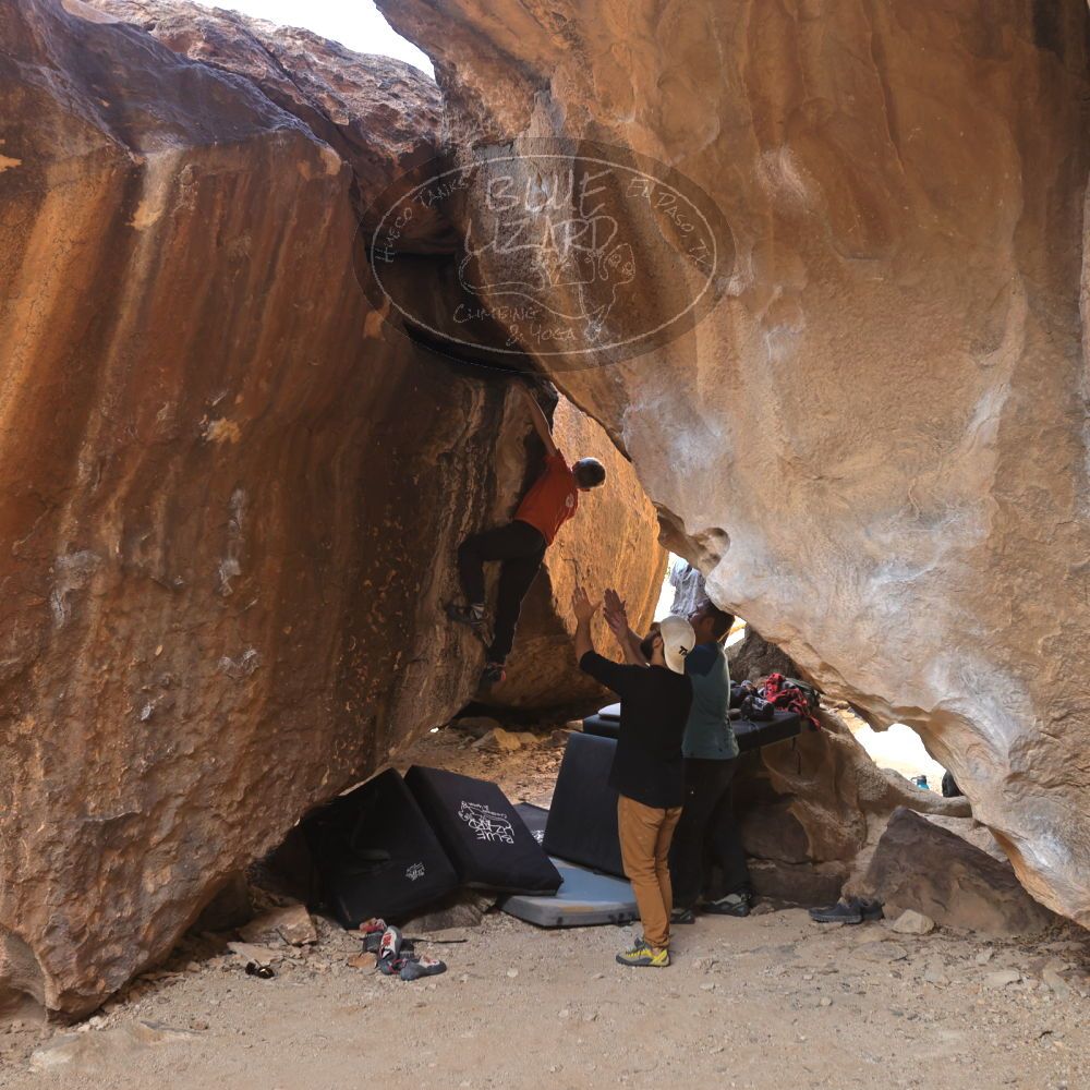 

Filename: SRM_20221113_1230360.jpg
Aperture: f/4.0
Shutter Speed: 1/320
Body: Canon EOS R6
Lens: Canon EF 16-35mm f/2.8 L