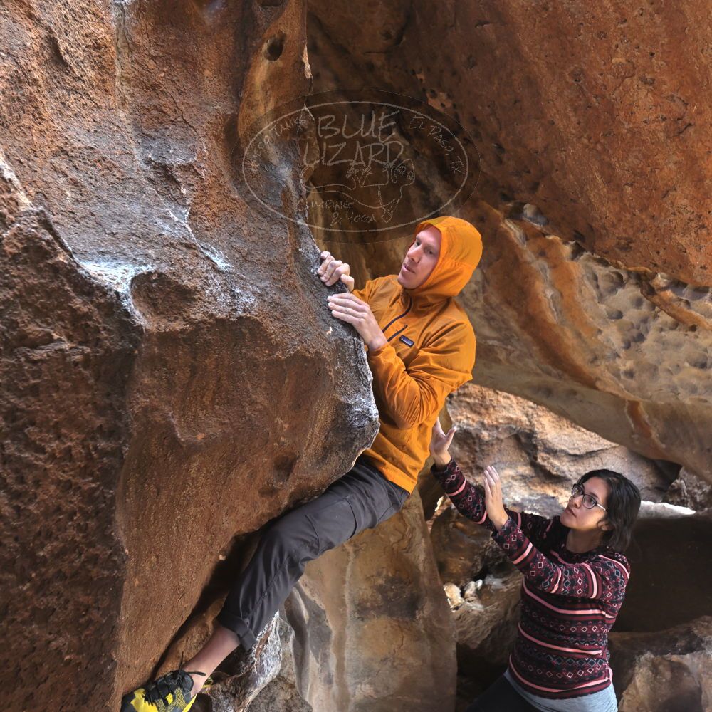 

Filename: SRM_20221113_1231160.jpg
Aperture: f/4.0
Shutter Speed: 1/320
Body: Canon EOS R6
Lens: Canon EF 16-35mm f/2.8 L