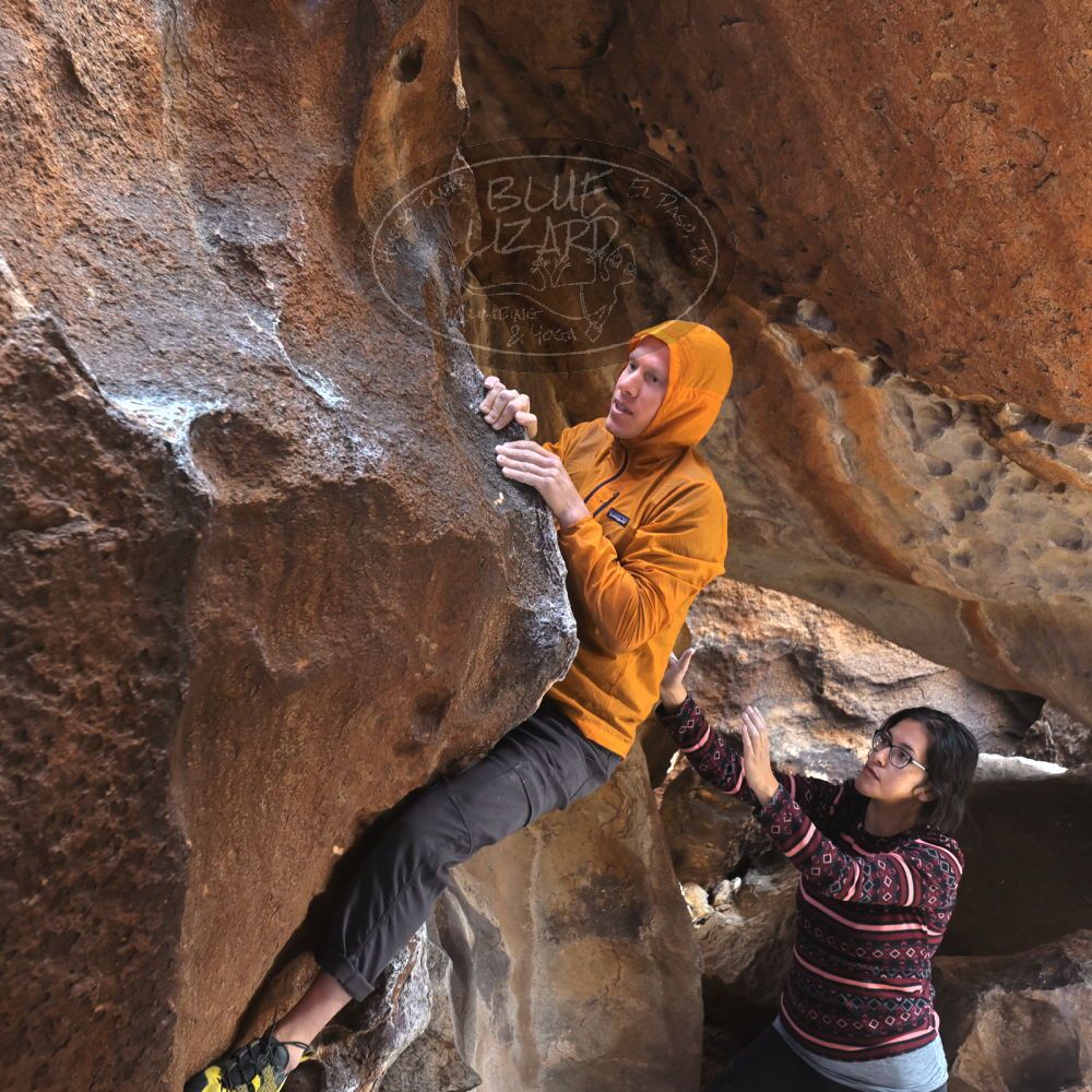 

Filename: SRM_20221113_1231161.jpg
Aperture: f/4.0
Shutter Speed: 1/320
Body: Canon EOS R6
Lens: Canon EF 16-35mm f/2.8 L