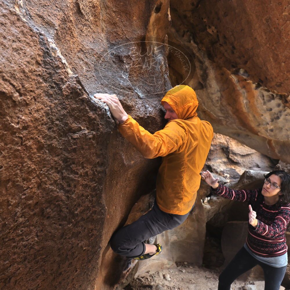 

Filename: SRM_20221113_1231280.jpg
Aperture: f/4.0
Shutter Speed: 1/320
Body: Canon EOS R6
Lens: Canon EF 16-35mm f/2.8 L