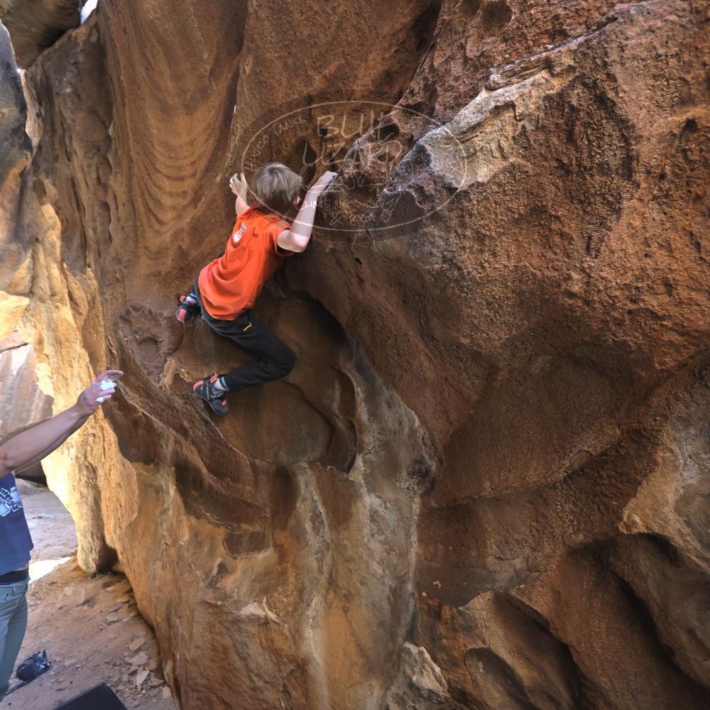 

Filename: SRM_20221113_1254130.jpg
Aperture: f/4.0
Shutter Speed: 1/320
Body: Canon EOS R6
Lens: Canon EF 16-35mm f/2.8 L